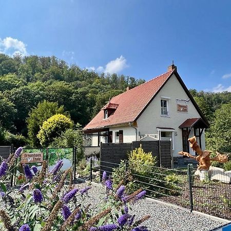 Traumhaus Thale Mit Sauna Und Kamin エクステリア 写真