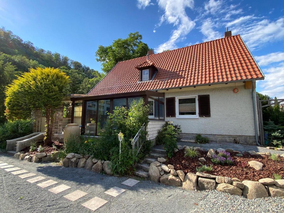 Traumhaus Thale Mit Sauna Und Kamin エクステリア 写真
