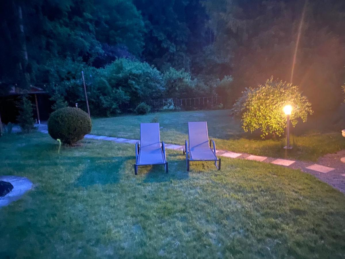 Traumhaus Thale Mit Sauna Und Kamin エクステリア 写真