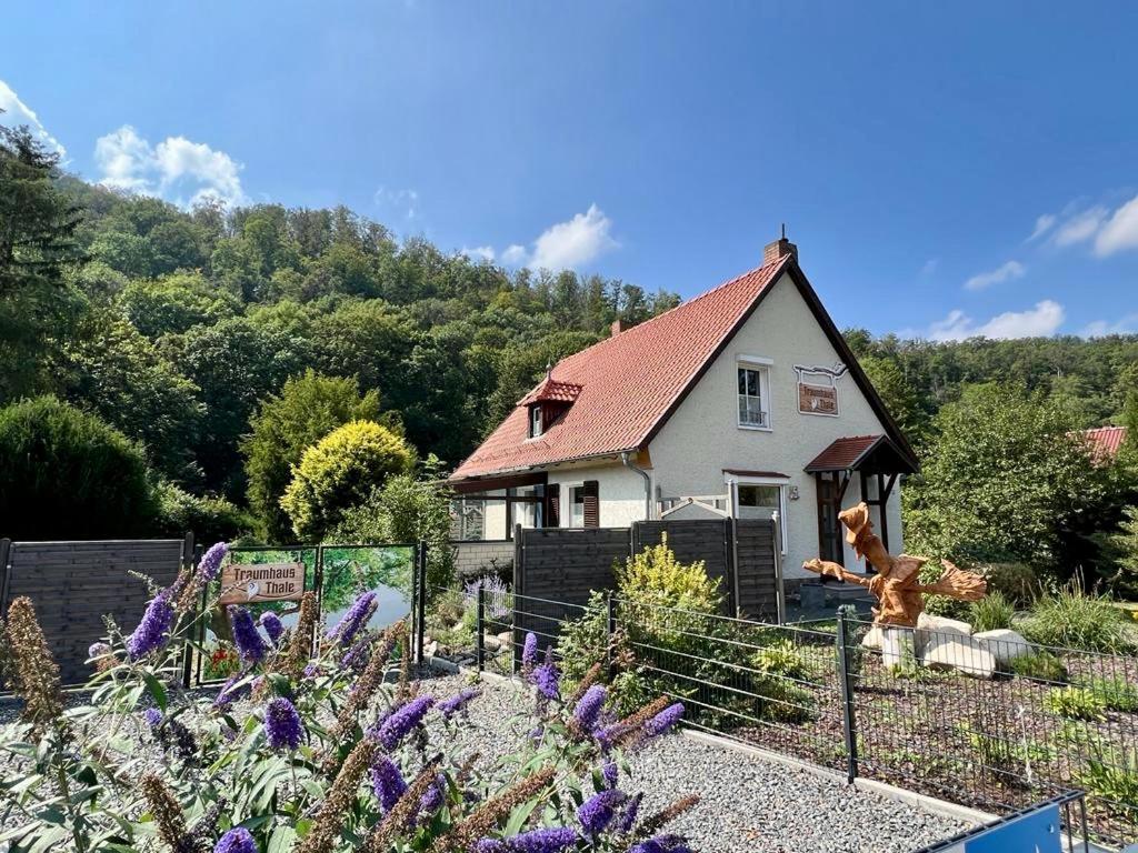 Traumhaus Thale Mit Sauna Und Kamin エクステリア 写真